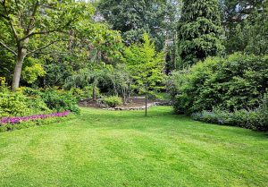 Optimiser l'expérience du jardin à Abbeville-la-Riviere